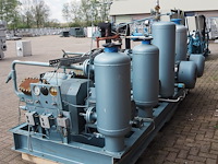 Gea grasso - afbeelding 14 van  20