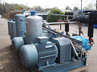 Gea grasso - afbeelding 15 van  20