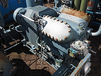 Gea grasso - afbeelding 16 van  20