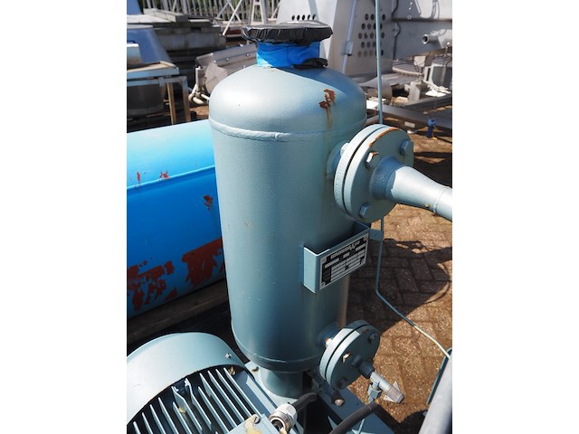 Gea grasso - afbeelding 18 van  20