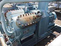 Gea grasso - afbeelding 20 van  20