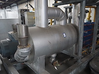 Gea grasso - afbeelding 2 van  12