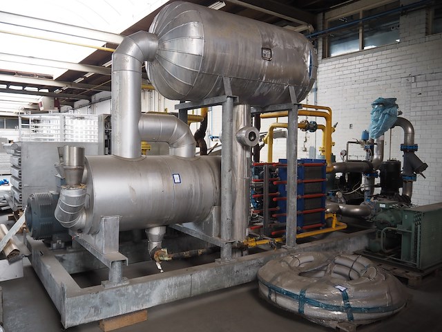 Gea grasso - afbeelding 1 van  12