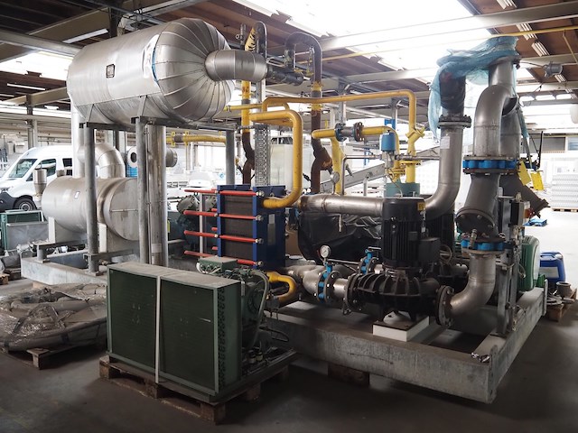 Gea grasso - afbeelding 5 van  12