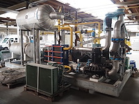 Gea grasso - afbeelding 5 van  12