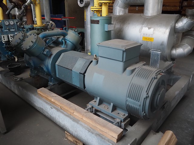 Gea grasso - afbeelding 6 van  12