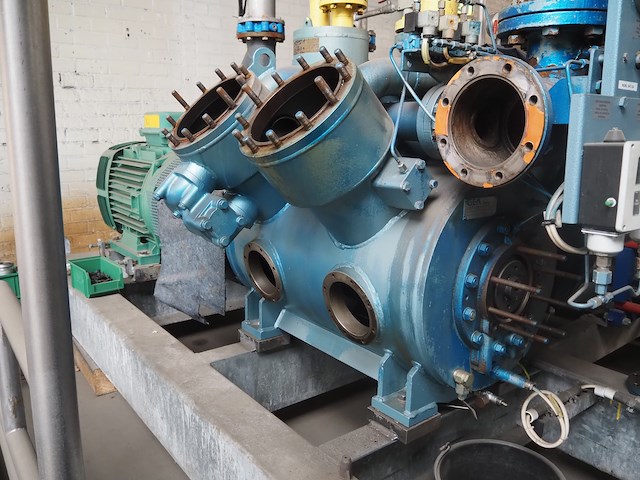 Gea grasso - afbeelding 8 van  12