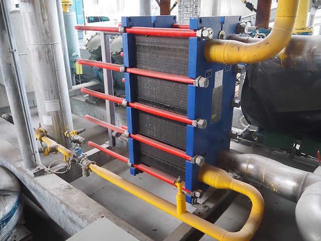 Gea grasso - afbeelding 10 van  12