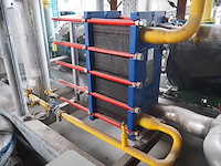 Gea grasso - afbeelding 10 van  12