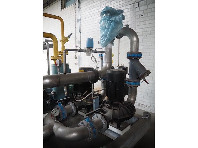 Gea grasso - afbeelding 12 van  12