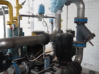 Gea grasso - afbeelding 12 van  12