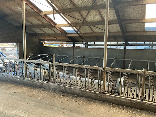 Gea jongvee stalinrichting 50 boxen - afbeelding 12 van  12
