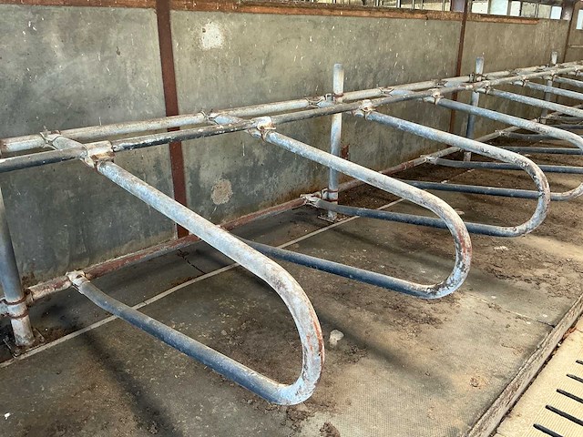 Gea jongvee stalinrichting 50 boxen - afbeelding 4 van  12