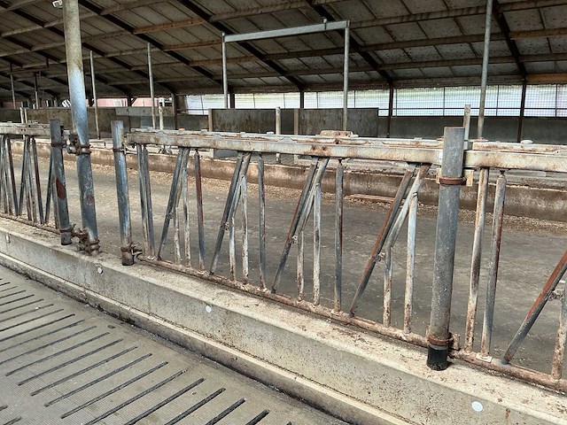 Gea jongvee stalinrichting 50 boxen - afbeelding 5 van  12