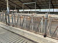 Gea jongvee stalinrichting 50 boxen - afbeelding 5 van  12