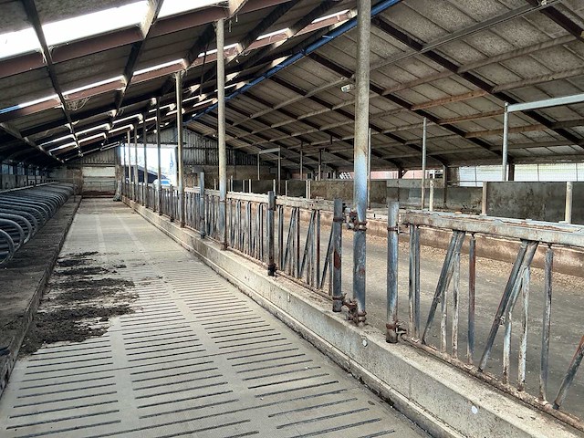 Gea jongvee stalinrichting 50 boxen - afbeelding 6 van  12