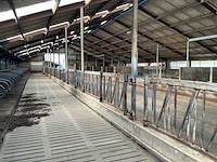 Gea jongvee stalinrichting 50 boxen - afbeelding 6 van  12