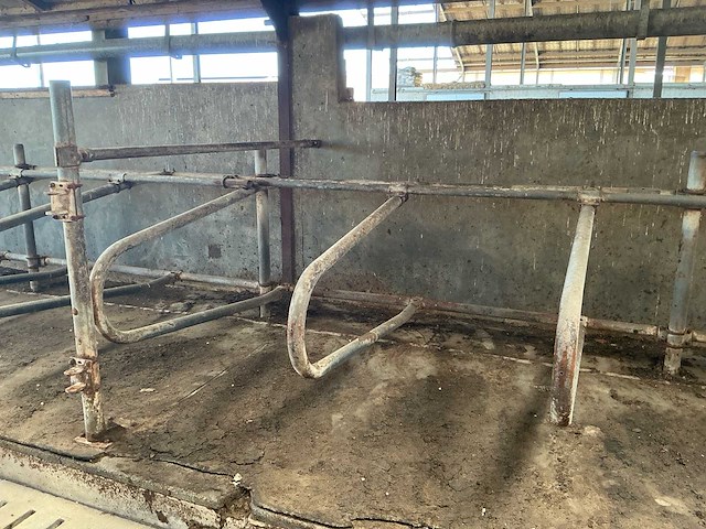 Gea jongvee stalinrichting 50 boxen - afbeelding 7 van  12