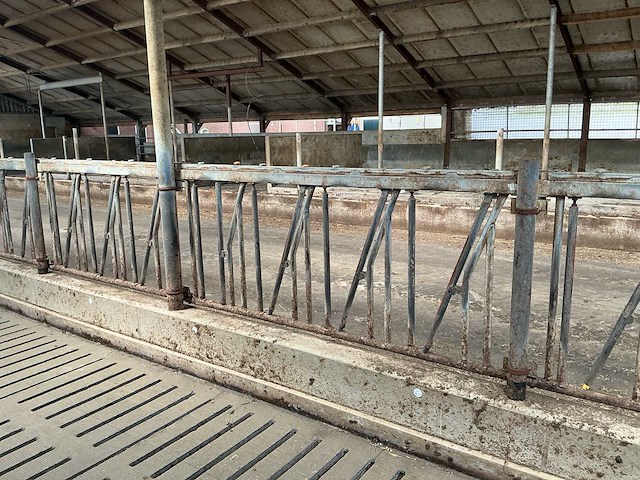 Gea jongvee stalinrichting 50 boxen - afbeelding 8 van  12