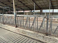 Gea jongvee stalinrichting 50 boxen - afbeelding 8 van  12