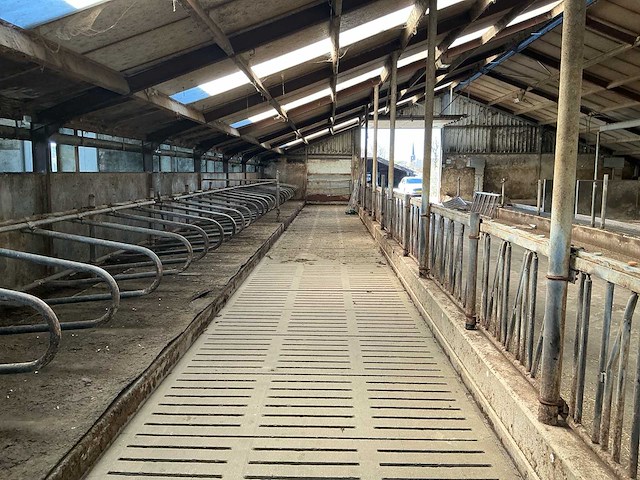 Gea jongvee stalinrichting 50 boxen - afbeelding 9 van  12