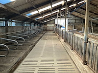 Gea jongvee stalinrichting 50 boxen - afbeelding 9 van  12