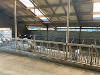 Gea jongvee stalinrichting 50 boxen - afbeelding 4 van  12