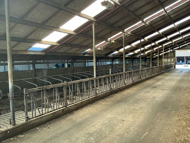 Gea jongvee stalinrichting 50 boxen - afbeelding 1 van  5