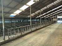 Gea jongvee stalinrichting 50 boxen - afbeelding 1 van  5