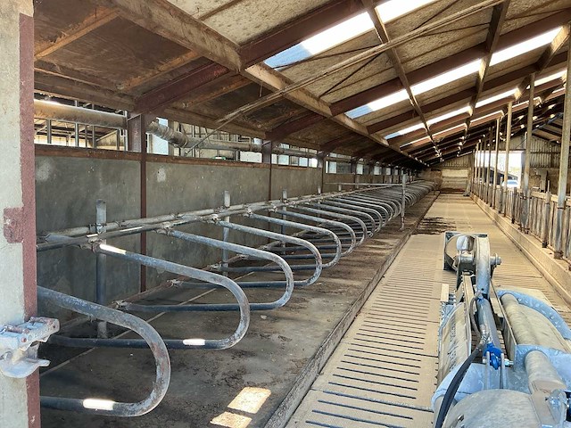 Gea jongvee stalinrichting 50 boxen - afbeelding 3 van  5