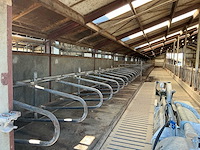 Gea jongvee stalinrichting 50 boxen - afbeelding 3 van  5