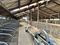 Gea jongvee stalinrichting 50 boxen - afbeelding 4 van  5