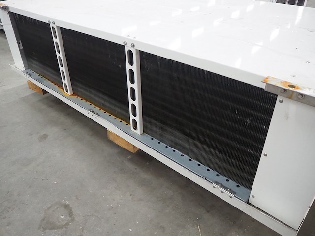 Gea searle - afbeelding 5 van  7