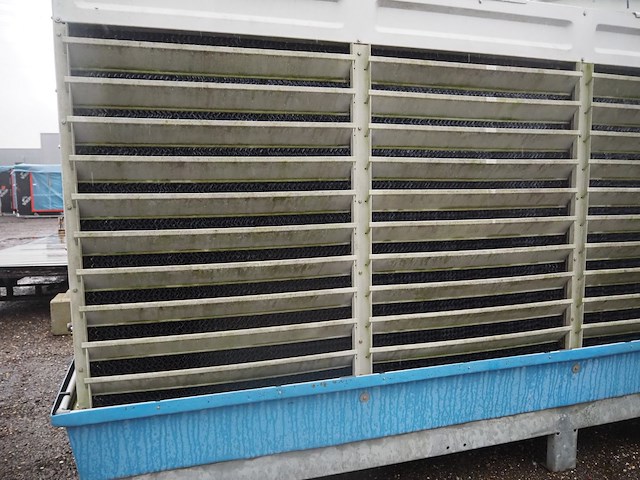 Gea - afbeelding 5 van  8