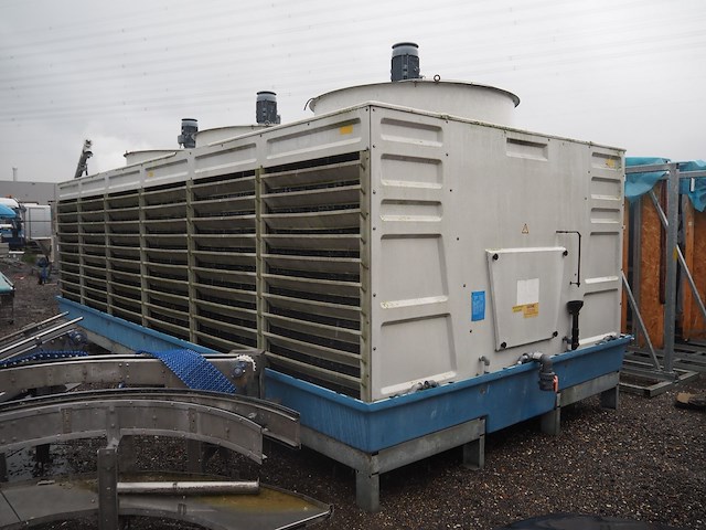 Gea - afbeelding 7 van  8