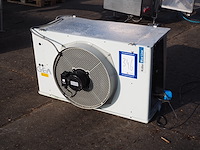 Gea - afbeelding 1 van  6