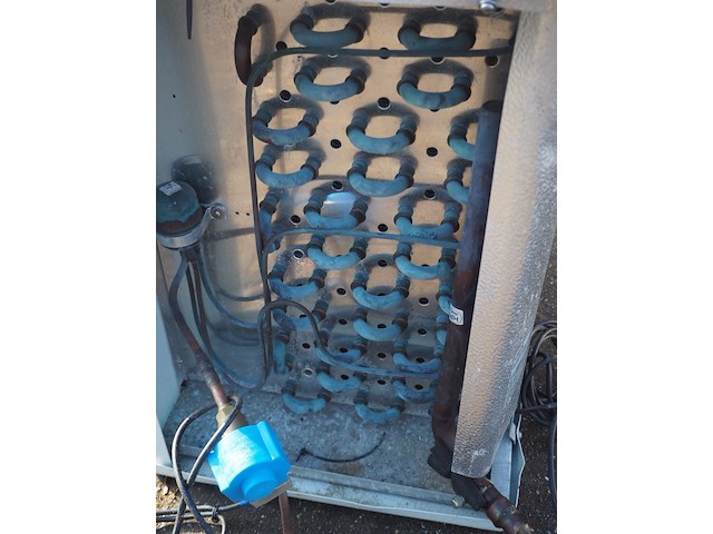 Gea - afbeelding 5 van  6