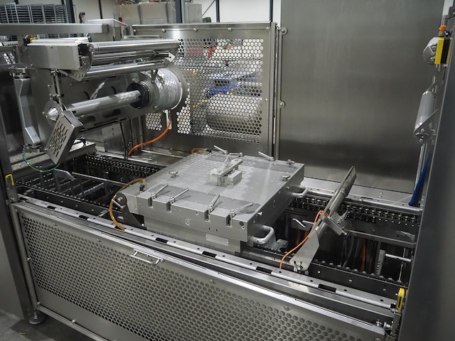 Gea - afbeelding 4 van  27