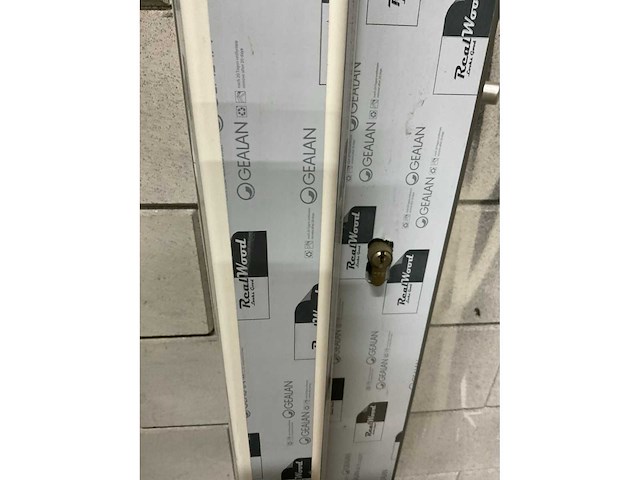 Gealan kunststof deurkozijn met zij- en bovenlicht - afbeelding 4 van  4