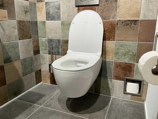 Geberit - icon - wandcloset met toiletzitting - afbeelding 1 van  5