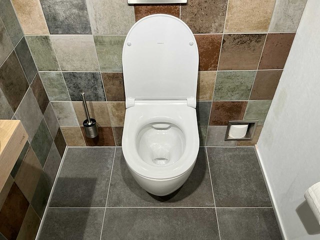 Geberit - icon - wandcloset met toiletzitting - afbeelding 3 van  5