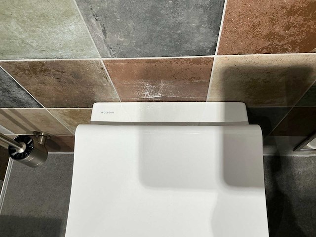 Geberit - icon - wandcloset met toiletzitting - afbeelding 5 van  5