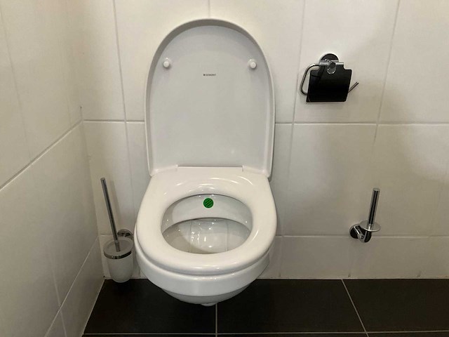 Geberit 280 basic wandcloset - afbeelding 1 van  6