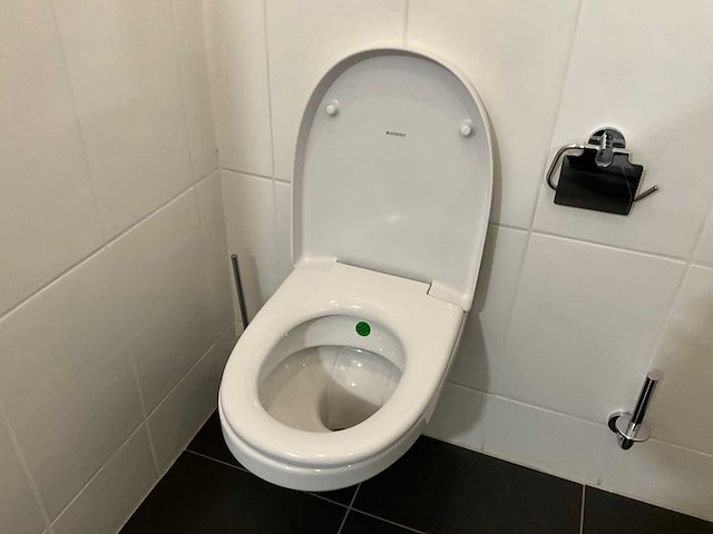 Geberit 280 basic wandcloset - afbeelding 2 van  6