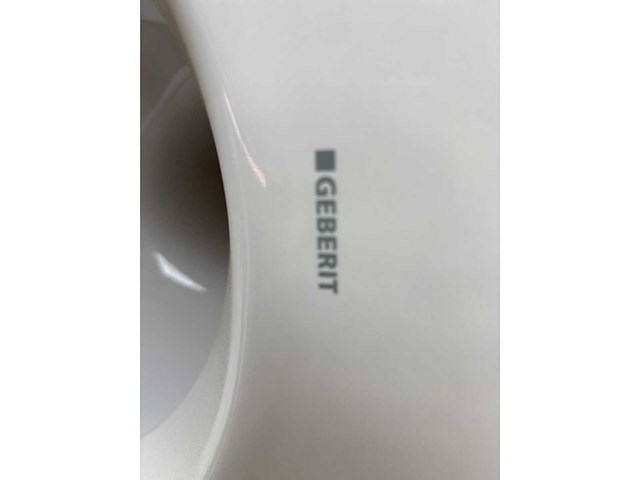 Geberit 300basic 22 wand toilet hangend - afbeelding 3 van  4