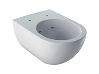 Geberit acanto rimfree toilet (12x) - afbeelding 1 van  4