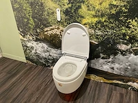 Geberit aquaclean toilet