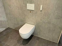 Geberit aquaclean toilet
