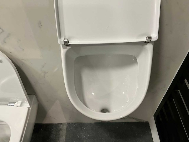 Geberit wandcloset en urinoir - afbeelding 9 van  11