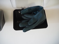 Gebra - afbeelding 2 van  10